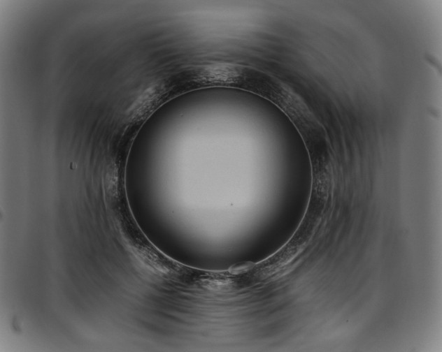 X0000097600552200802291246