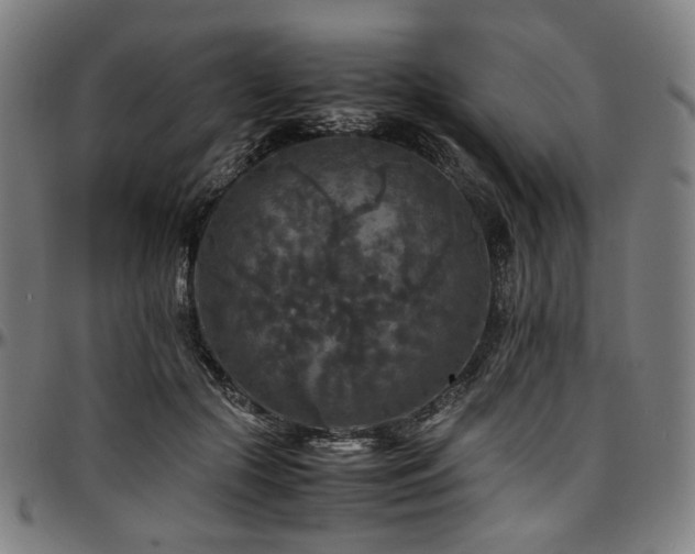 X0000097600553200802291246