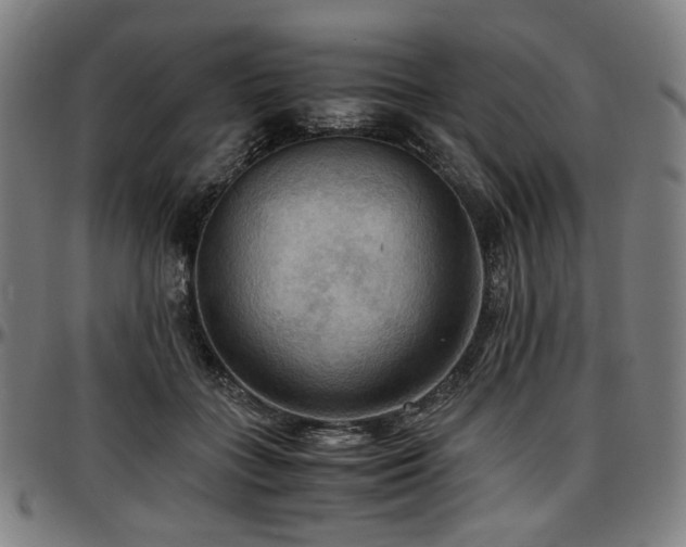 X0000097600555200802291246