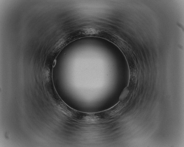 X0000097600556200802291246