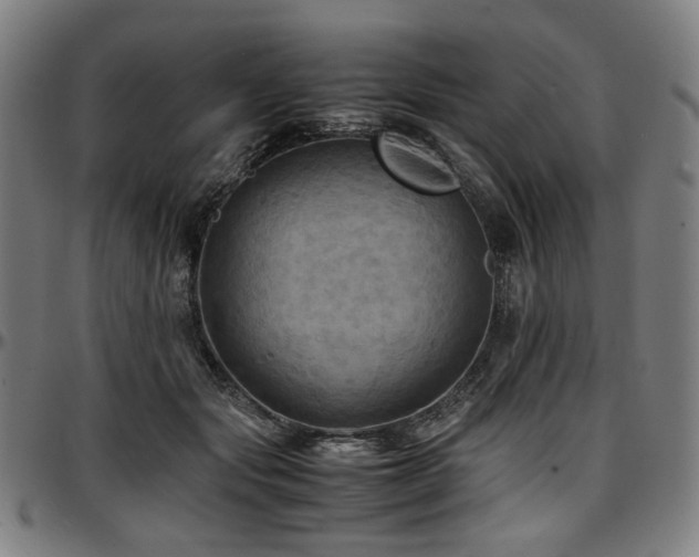 X0000097600557200802291246