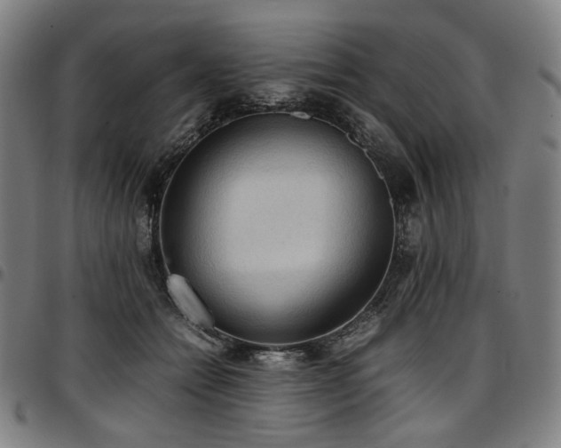 X0000097600558200802291246