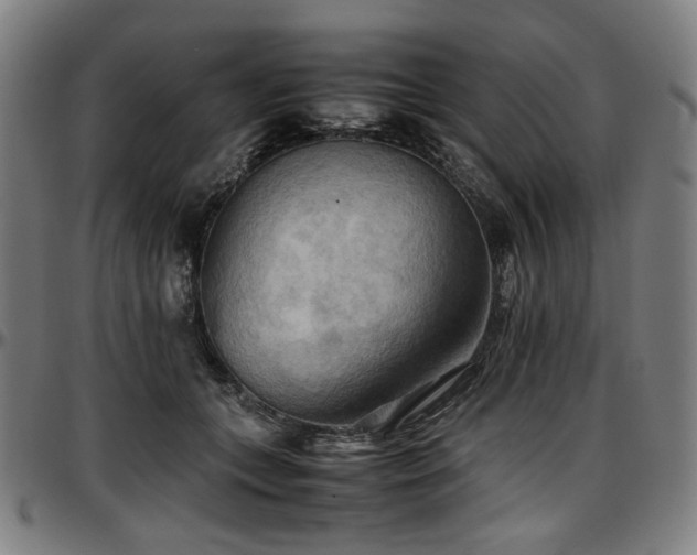 X0000097600559200802291246