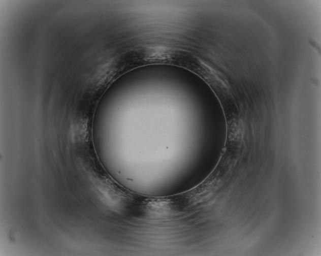 X0000097600560200802291246