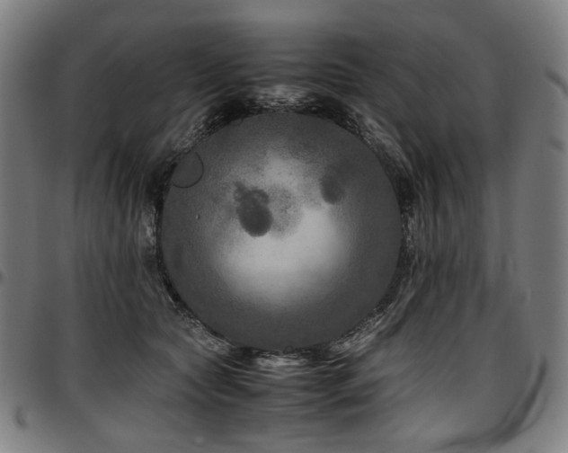 X0000097600561200802291246