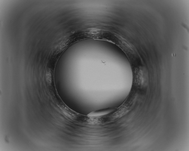 X0000097600562200802291246
