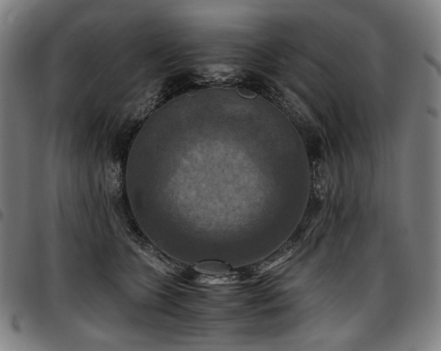 X0000097600563200802291246