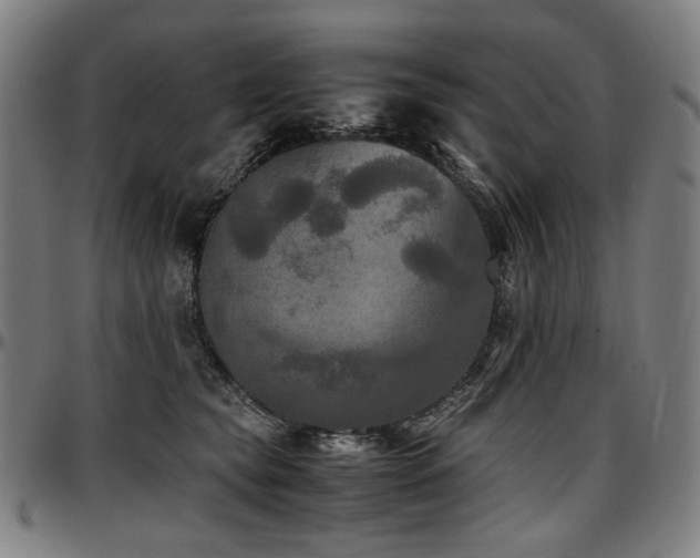 X0000097600565200802291246