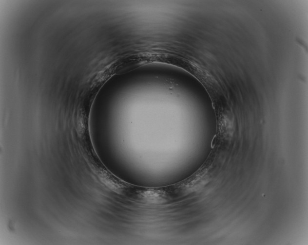X0000097600566200802291246