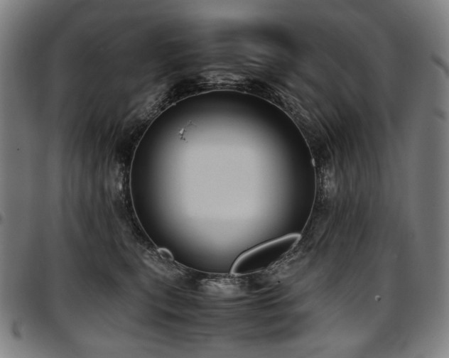 X0000097600567200802291246