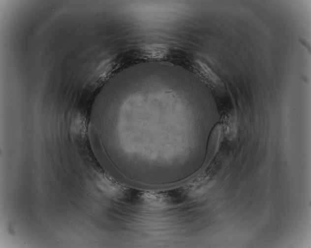 X0000097600568200802291246