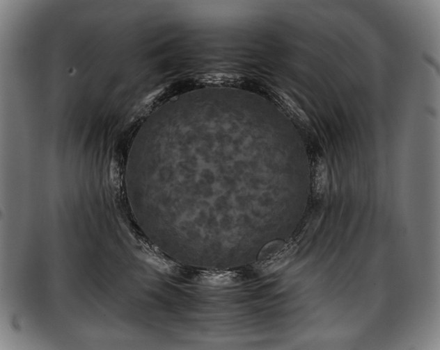 X0000097600569200802291246