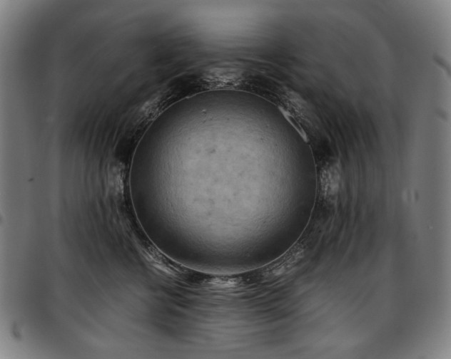 X0000097600570200802291246