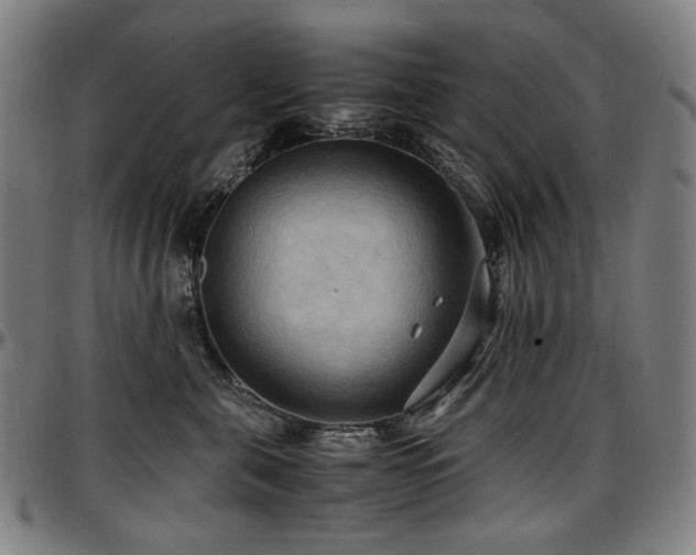 X0000097600571200802291246
