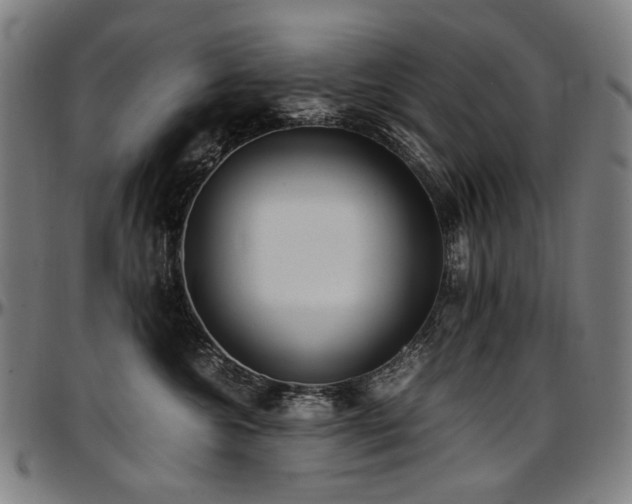 X0000097600572200802291246