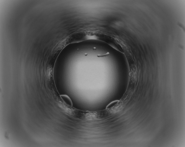 X0000097600574200802291246