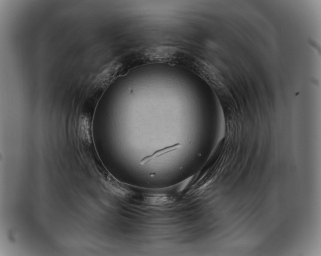 X0000097600575200802291246