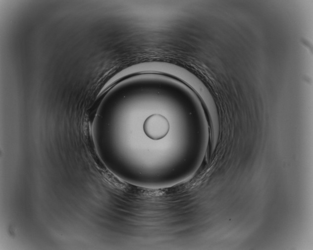 X0000097600576200802291246