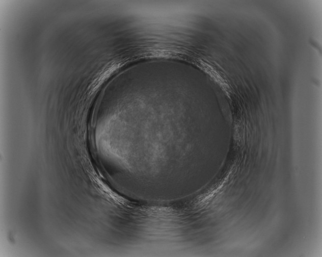 X0000097600577200802291245