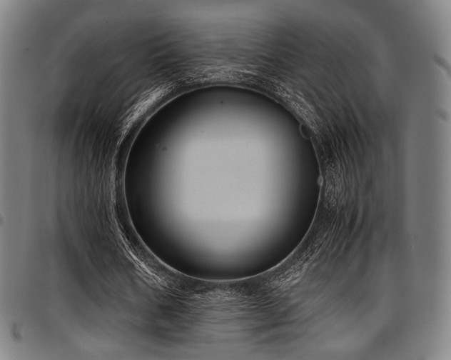 X0000097600578200802291245
