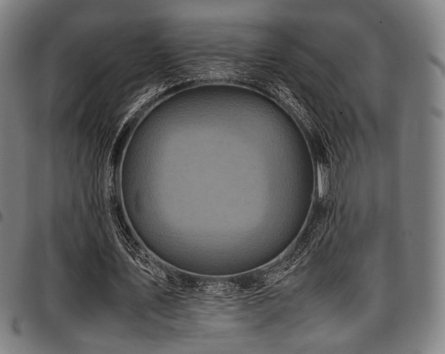 X0000097600579200802291245