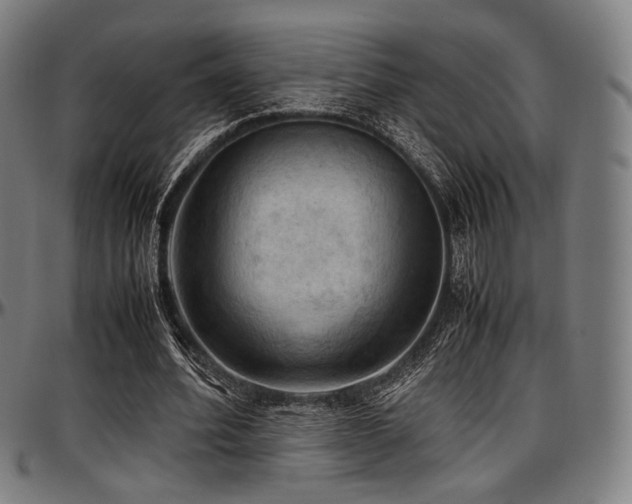 X0000097600580200802291245