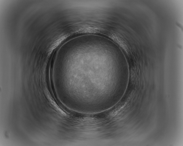 X0000097600581200802291245