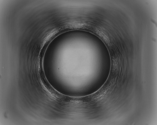 X0000097600582200802291245