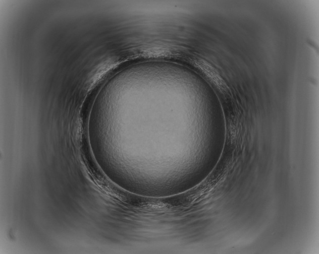X0000097600583200802291245
