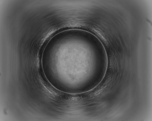 X0000097600584200802291245