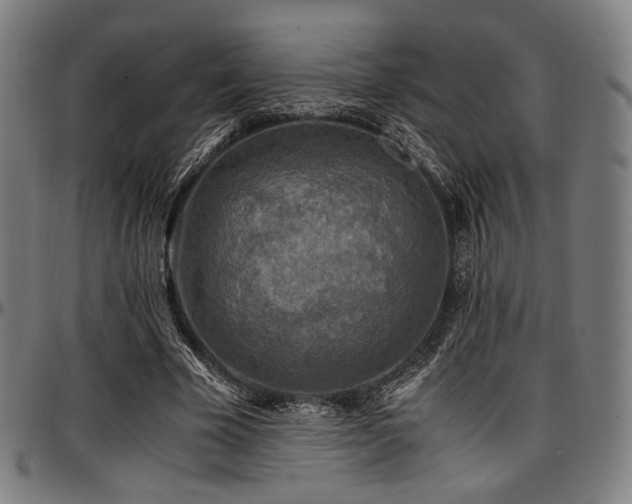 X0000097600585200802291245