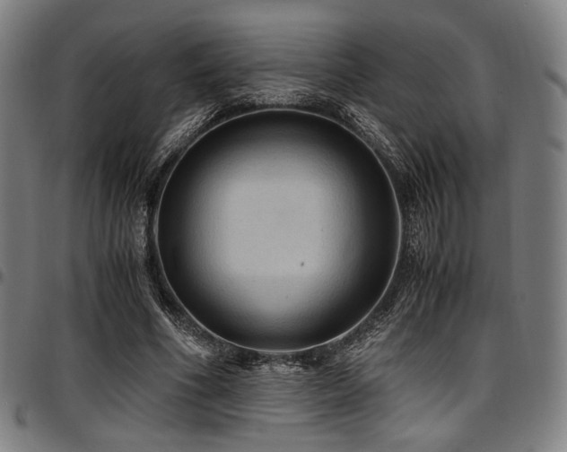 X0000097600586200802291245