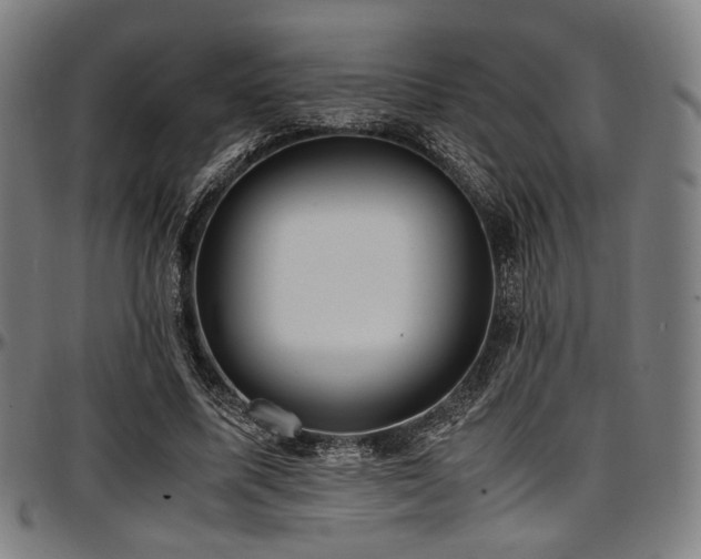 X0000097600587200802291245