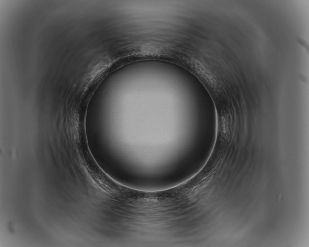 X0000097600588200802291245