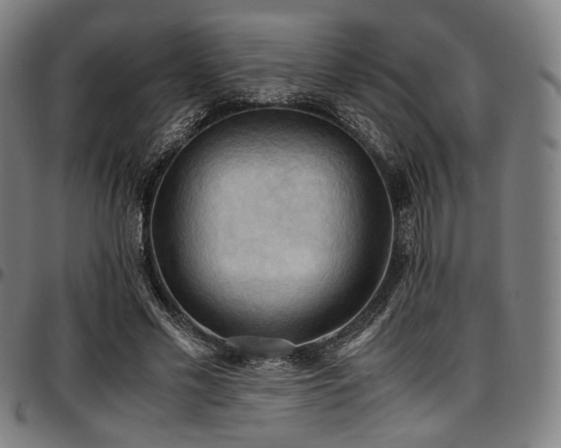 X0000097600589200802291245