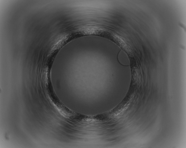 X0000097600590200802291245
