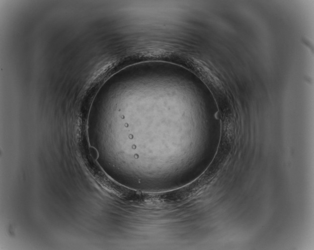 X0000097600591200802291245