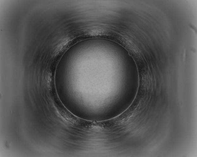X0000097600592200802291245