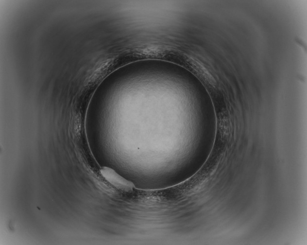 X0000097600593200802291245
