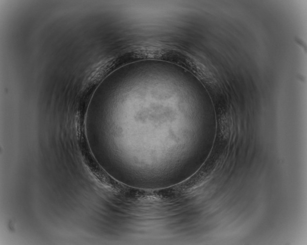 X0000097600594200802291245