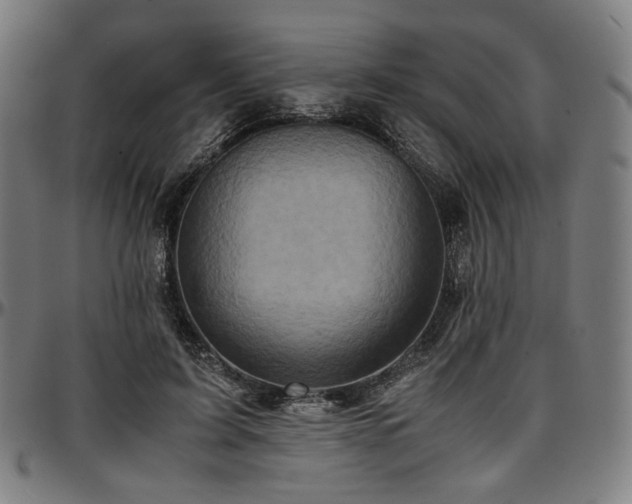 X0000097600595200802291245