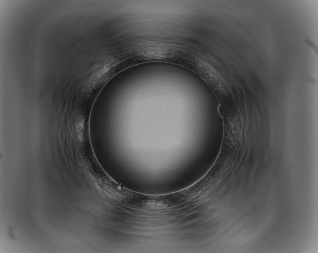 X0000097600596200802291245