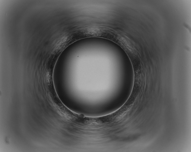X0000097600597200802291245