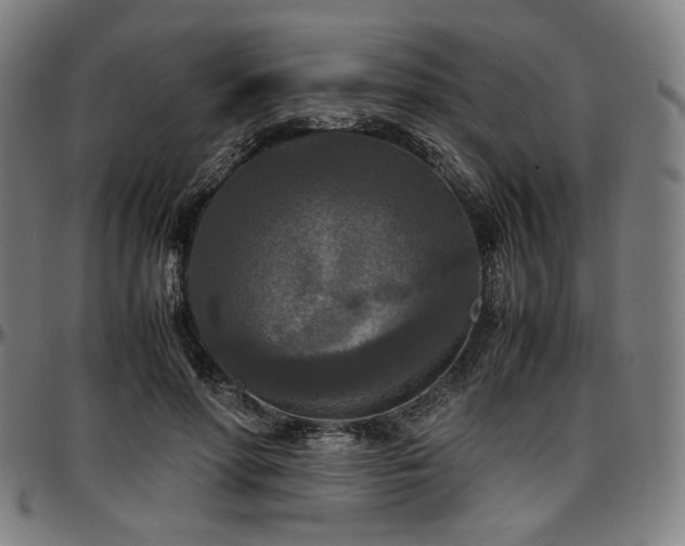 X0000097600598200802291245