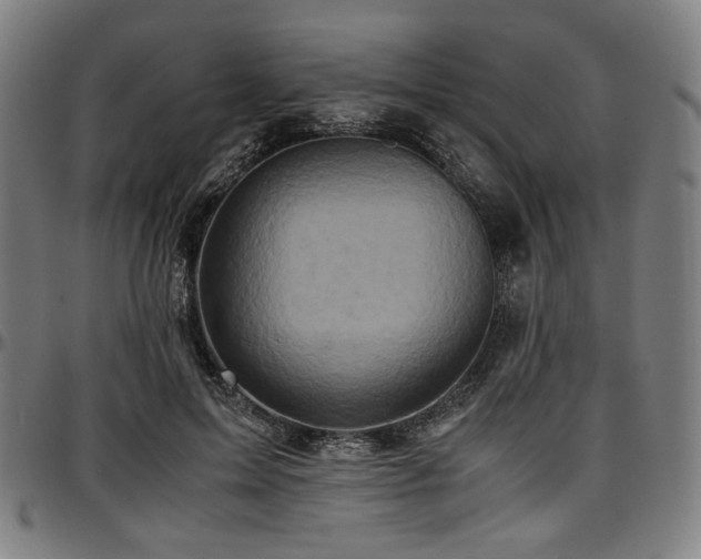 X0000097600599200802291245