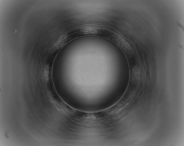 X0000097600600200802291245