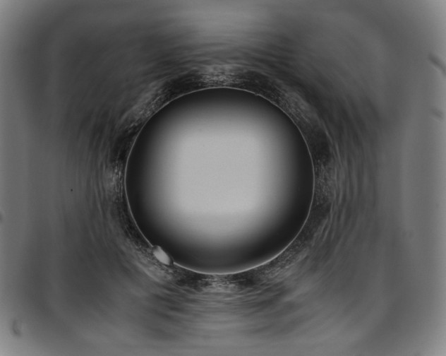 X0000097600601200802291245