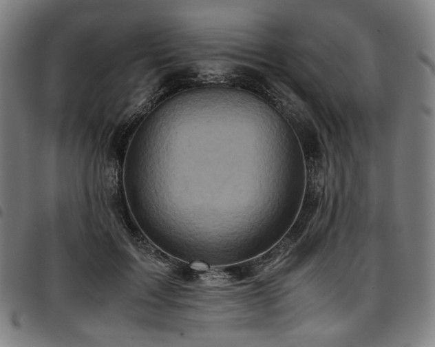 X0000097600603200802291245