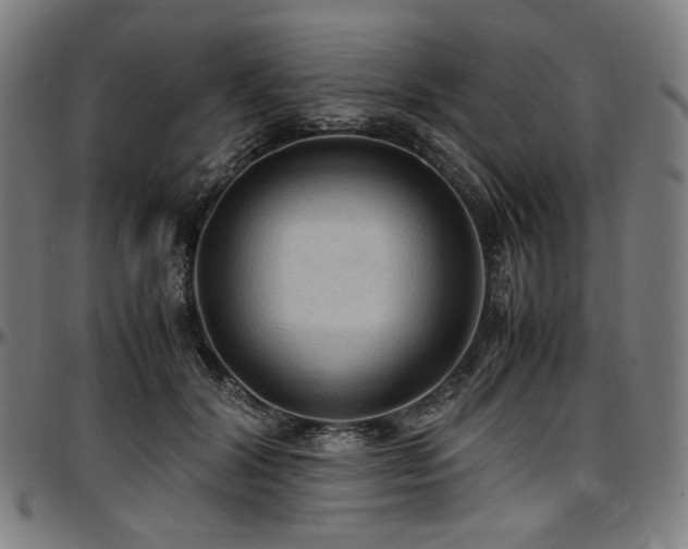 X0000097600604200802291245