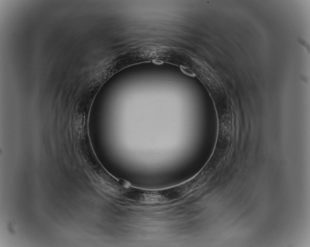 X0000097600605200802291245